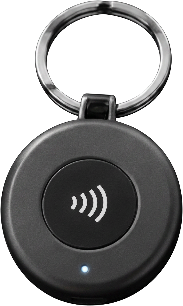 SMARTKEY in Grau